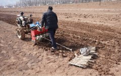 海东平易近和：河湟大地春播第一犁