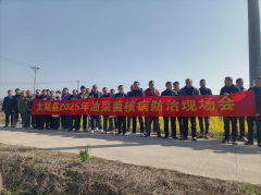太湖：聪慧防控菌核病“一促”保丰收