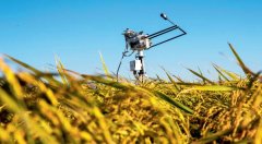 <b>瞭望·理政纪事｜加速扶植农业强国</b>