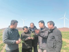 不误农时 不负春景